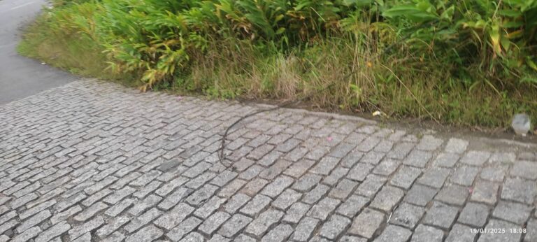 Moradores do Jardim Encantado pedem providências urgentes da Enel para fio energizado no chão