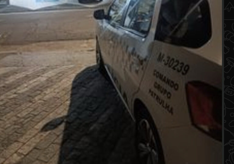 Homem é preso após matar filhotes e beber sangue dos animais na Vila Suzuki