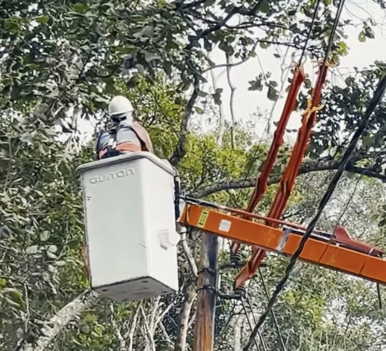 Rio Grande da Serra e Enel iniciam mutirão de poda preventiva para evitar quedas de energia e garantir segurança
